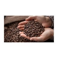 Organic Coffee Beans For Cafes And