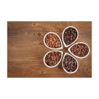 Freshly Harvested Coffee Beans For Export