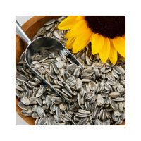 Premium Raw Sunflower Seeds For Snacking