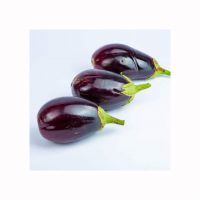 Organic Eggplant For Health-conscious Consumers