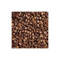 Premium Coffee Beans Available For Bulk