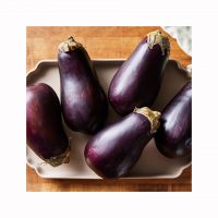 Eggplant For Sale In Wholesale Price