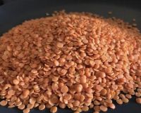 red lentils