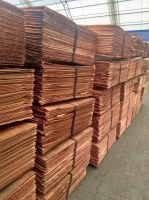 Selling Copper Cathodes, Purity 99,99