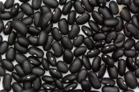 Black Beans