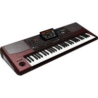 Korg Pa1000 61-Key Professional Arranger 