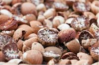 Betel Nuts SPLIT