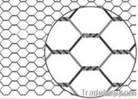 Hexagonal wire netting