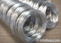 Electro Galvanized Wire