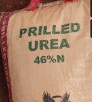 Urea