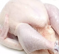 Halal Frozen Whole Chicken