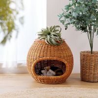 Handmade Rattan Pet House Table Natural