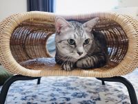 Handmade Rattan Pet House Table Natural