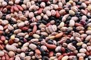 Quality red and black beans for sale