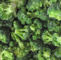 Fast Delivery Natural Frozen Fresh Broccoli