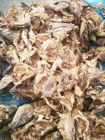 Stockfish