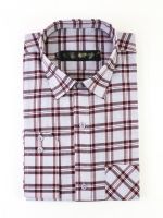 Mens Shirt