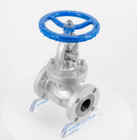 API Cast steel globe valve