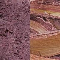 1kg Mimosa Hostilis Inner Root Bark (MHRB), WILD HARVESTED  directly from Brazil