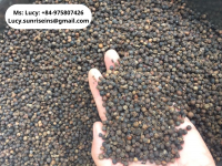 Black pepper, white pepper, pepper dust, pepper powder from VIET NAM