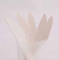 Disposable Paper Knife