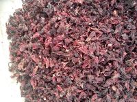 Dried Hibiscus Flower