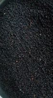 Dried wild blueberry (dried fruit) Dried wild blueberry