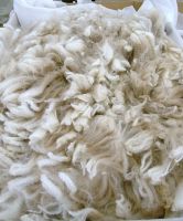 Alpaca Wool &amp; Fleece
