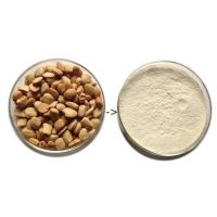 Tamarind Kernel Powder