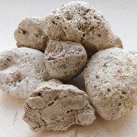 Fragrance Raw Material