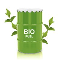 Biodiesel Fuel