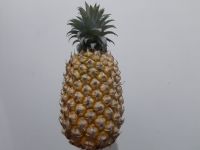 Fresh Pineapple