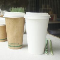 Eco Paper Cup Biodegradable