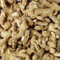 Dried and Fresh Ginger