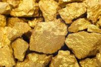 Gold Nuggets