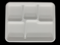 Disposable biodegradable bagasse tableware