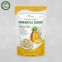 Get Your Tropical Dried Fruit at Discount Prices with FruitBuys' Pineapple.