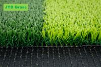 Football grass 