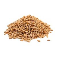 2023 Wheat High Quality Natural Whole Wheat Grain Dried Style Wheat for sale