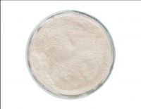 Dicalcium Phosphate