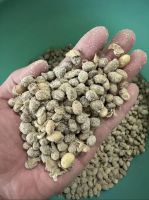 Fermented Soybean Bio-organic Fertilizer For