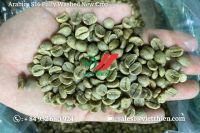 Arabica Green Coffee Beans- Fully Washed