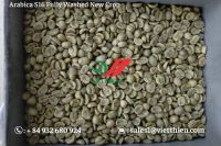 Arabica Green Coffee Beans- Clean Quality