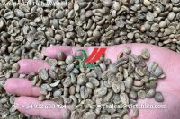 Vietnam Arabica Green Coffee Beans - Fully