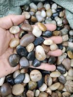 Mixed Pebbles, Cobblestone, Landscape Rocks, Decorative
