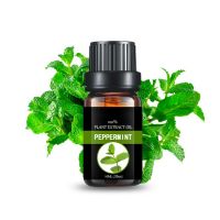  Mint oil