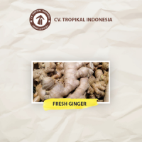 Fresh Ginger