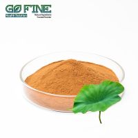 Lotus Leaf Extract