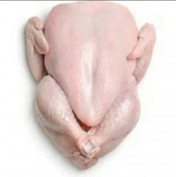 High Quality Chicken in cheap price 