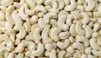 Cashew Nuts &amp;amp;amp;amp; Dry Fruit | Dried Fruits